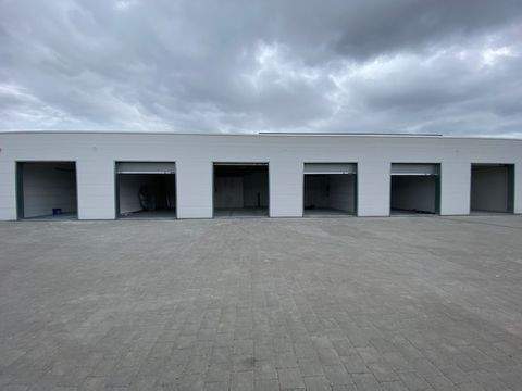Linkenheim-Hochstetten Halle, Linkenheim-Hochstetten Hallenfläche