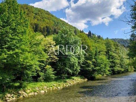 Delnice Häuser, Delnice Haus kaufen