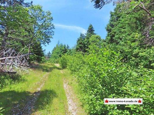 Cape Breton - Preiswertes 8,9 Hektar-Grundstück in