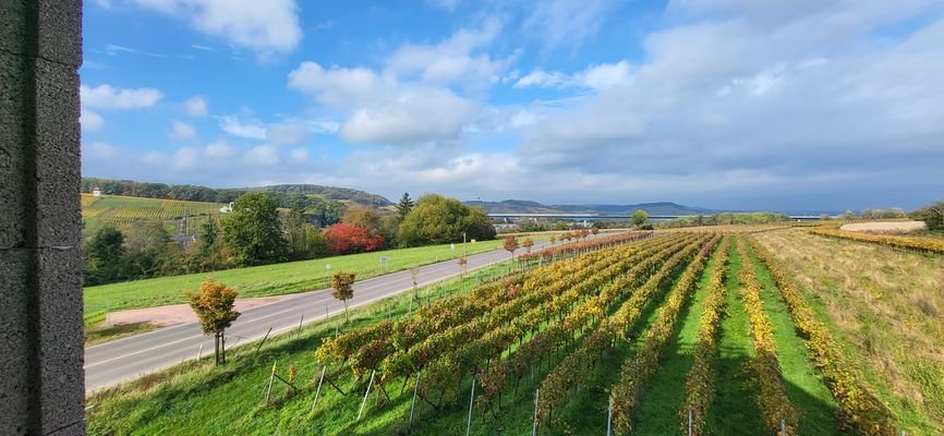 SCHÖNER AUSBLICK INS GRÜNE