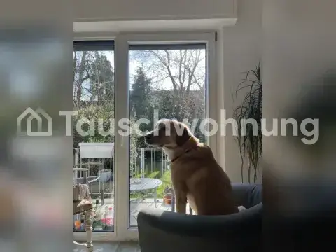 Münster Wohnungen, Münster Wohnung mieten