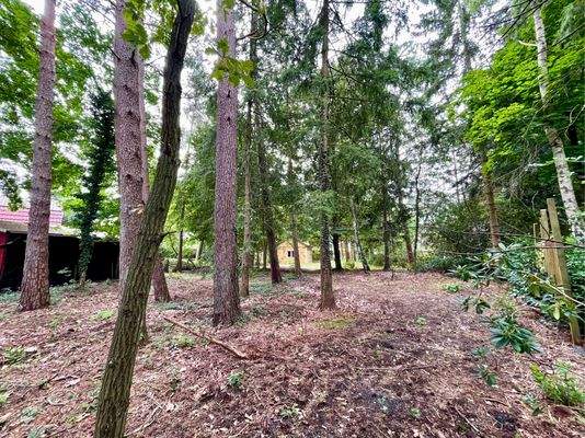 Das perfekte Stück Natur für Ihre Zukunft