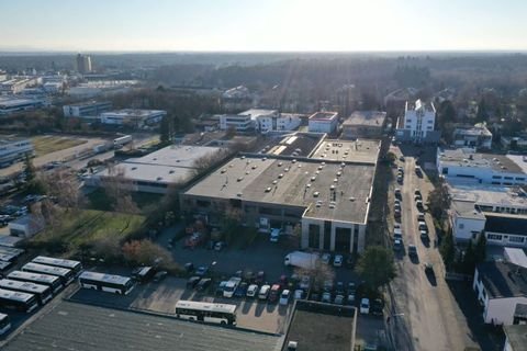 Mörfelden-Walldorf Halle, Mörfelden-Walldorf Hallenfläche