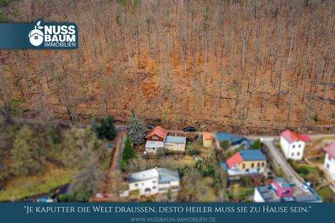 Rudolstadt Häuser, Rudolstadt Haus kaufen