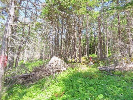 Nova Scotia - Grover?s Point - Wunderschönes Uferg