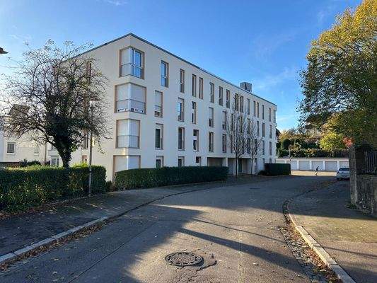 WhatsApp Image 2025-11-03 at 09.40.40.jpeg