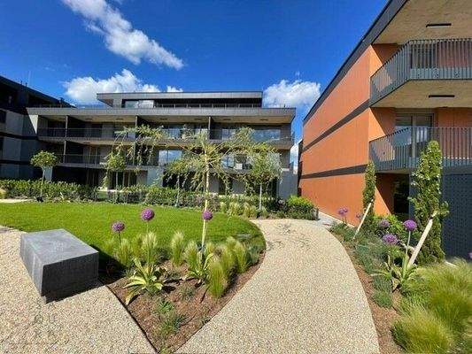 5YQk7H42Fi5pvdVQxiadtH