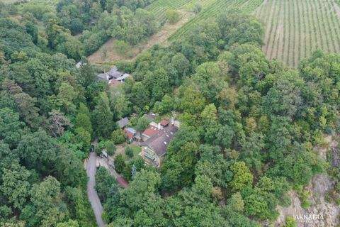 Wien Häuser, Wien Haus kaufen