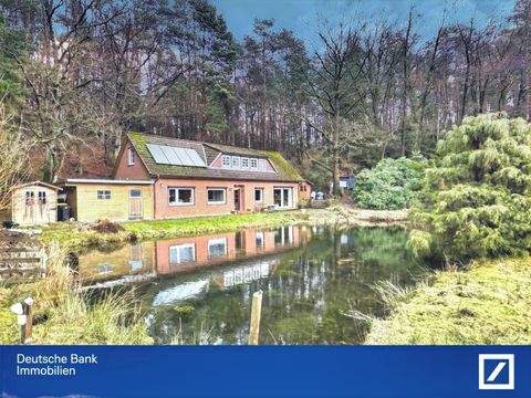 Bispingen Häuser, Bispingen Haus kaufen