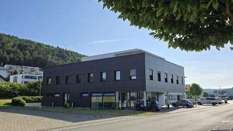 Immendingen Büros, Büroräume, Büroflächen 