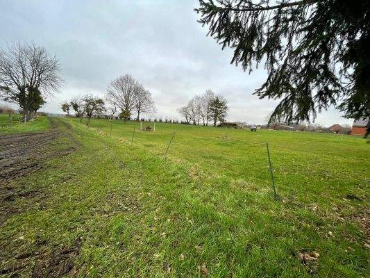 Ausblick Hauswiese.jpg