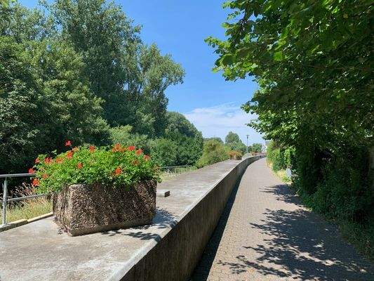 Weg zum Spielplatz und Fahrradweg 