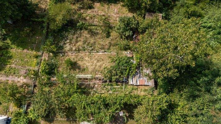 26 août 2025-1436DJI_20250826143604_0179_D.jpg