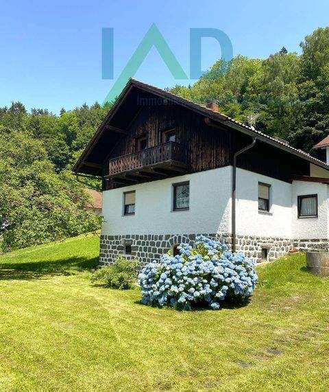 Freyung Häuser, Freyung Haus kaufen