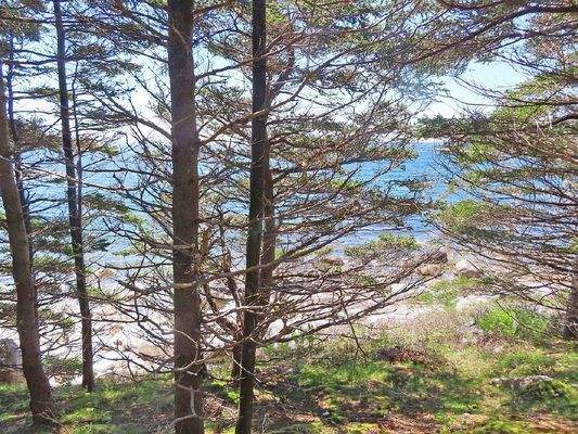 Nova Scotia - Grover?s Point - Wunderschönes Uferg