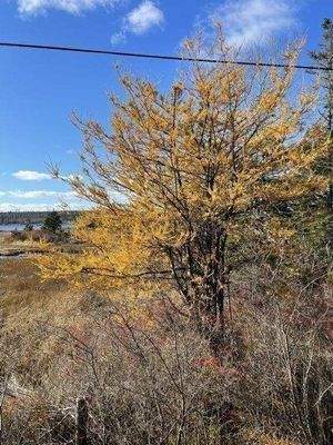 Impressionen Spätherbst