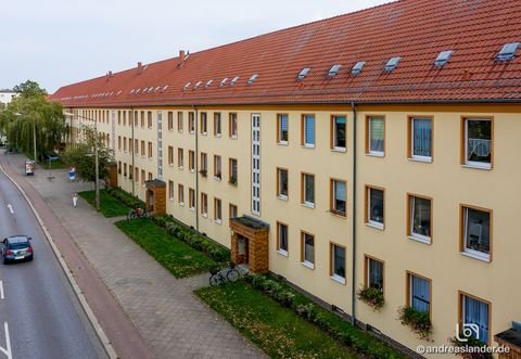 Magdeburg Wohnungen, Magdeburg Wohnung mieten