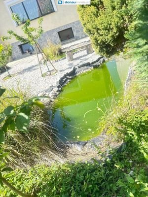Bild 16
