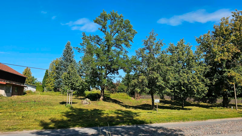 Oberbarnim Grundstücke, Oberbarnim Grundstück kaufen