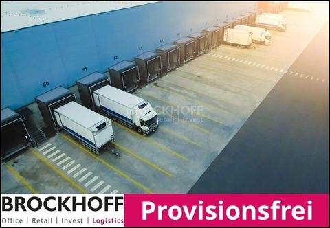 Mülheim Halle, Mülheim Hallenfläche