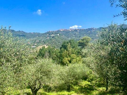 PE925_04 TERRA ITALIA IMMOBILIEN_LIGURIEN_PERINALD