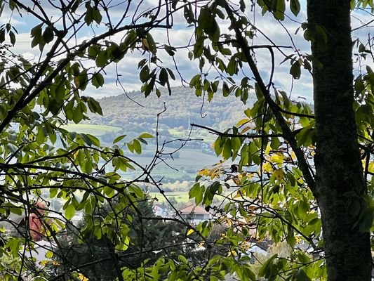 Blick vom oberen Teil des Grundstücks