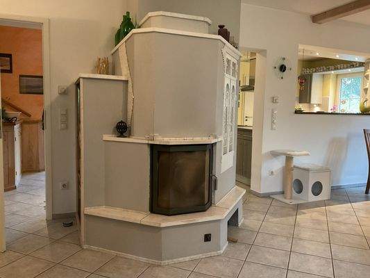 Kaminofen wasserführend