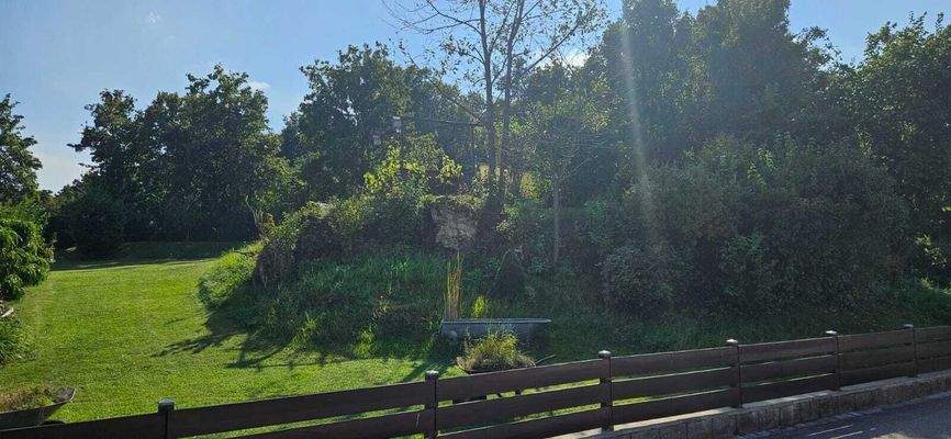 PHOTO-2024-09-05-15-47-21 4