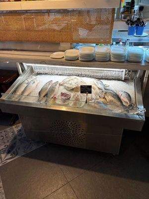 Essen Gehen? täglich Fisch?