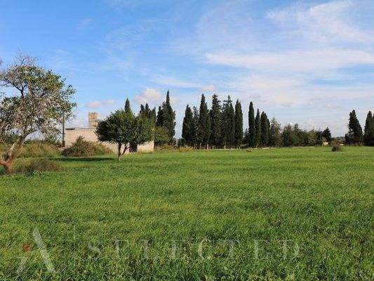 New brand Villa in construction between Inca and Llubi_10