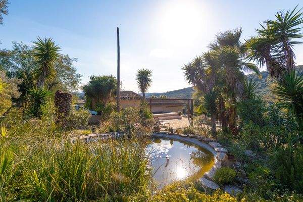 Naturteich und geschützte Umgebung für maximale Privatsphäre