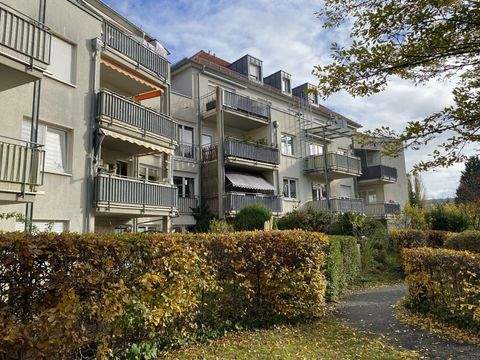 Dresden Wohnungen, Dresden Wohnung mieten