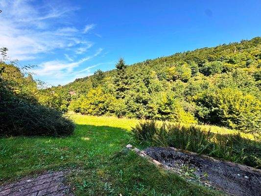 Jede Menge Platz zum Entfalten (6)