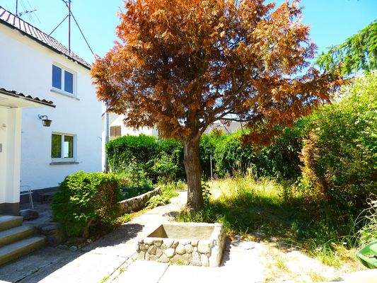 Hausansicht / Innenhof