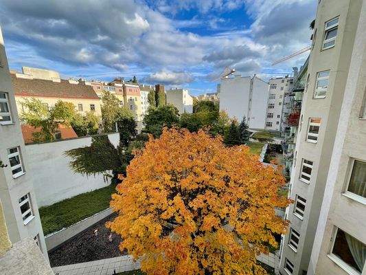 Aussicht aus dem Arbeits- SZ