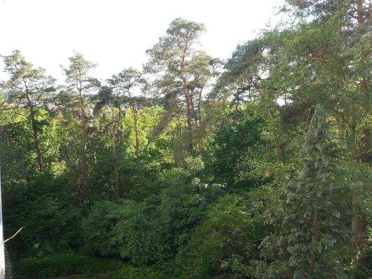 Ausblick Wohnzimmer.jpg