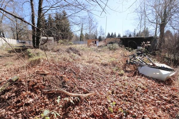 Garten hinten rechts