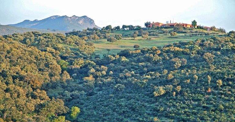 Sin título-17 b.jpg