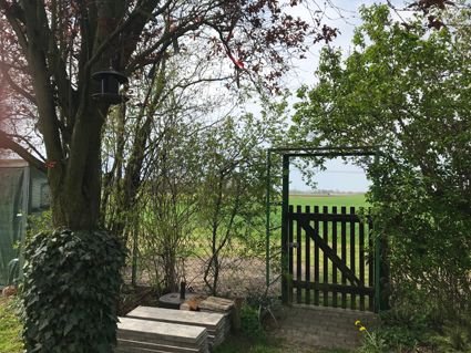 Blick vom Garten