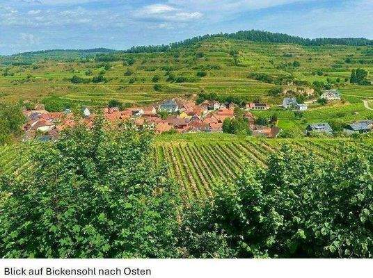 Bildschirmfoto 2025-09-03 um 09.02.54.jpg