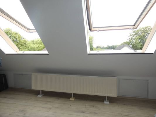 Zimmer DG