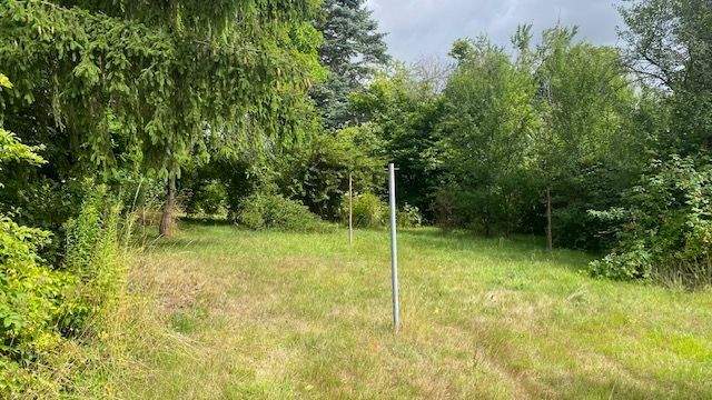 romantischer Garten.jpg