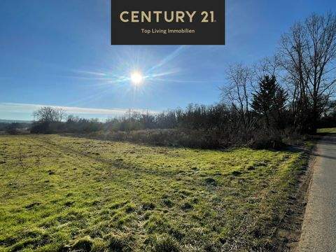 Budenheim Bauernhöfe, Landwirtschaft, Budenheim Forstwirtschaft