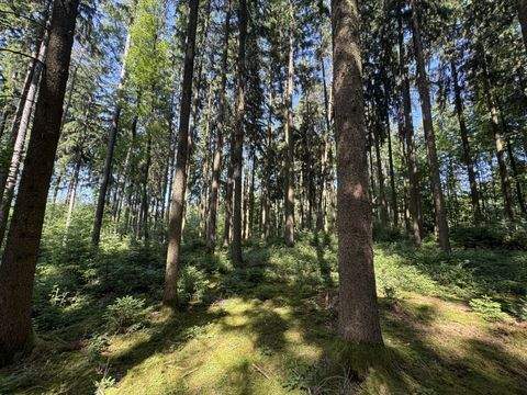 Ergoldsbach / Langenhettenbach Bauernhöfe, Landwirtschaft, Ergoldsbach / Langenhettenbach Forstwirtschaft