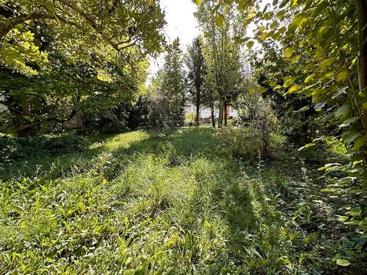  Grundstück - Garten