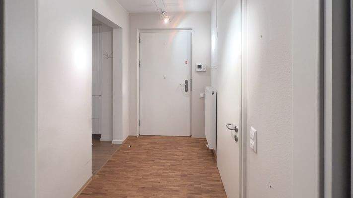 Wohnungseingangstüre