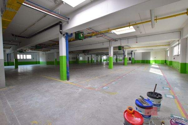 Produktions-/Lagerfläche EG