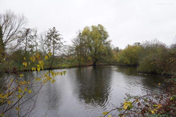 Teich hinter dem Grundstück
