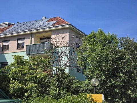 Eisenstadt Wohnungen, Eisenstadt Wohnung kaufen