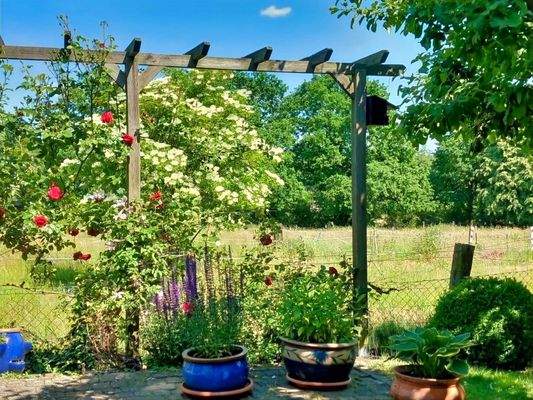 Blick auf die angr. Wiese